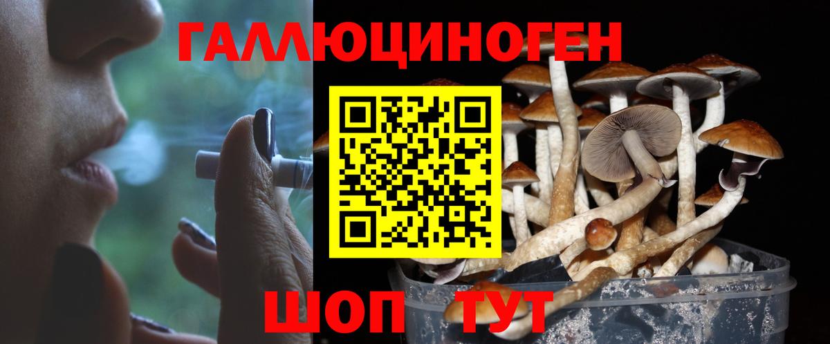Лесозаводск  Псилоцибиновые грибы прущие грибы  Вход с VPN  Галлюциногенные грибы мицелий 